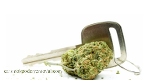 Marijuana Car Odor Removal Service for Cars